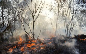 Amazonas decreta emergência ambiental após índices de queimadas no interior