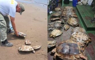 Ibama multa em R$ 241 mil por crimes ambientais em terra indígena no Amazonas