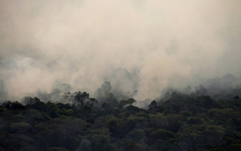 Queimadas na floresta