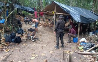 Ibama impede desmatamento de mil hectares em Boca do Acre