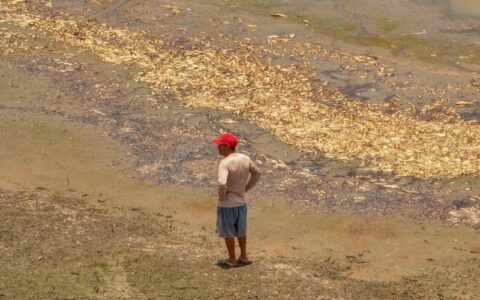 Os recados dos fenômenos naturais ao eleitorado do Amazonas