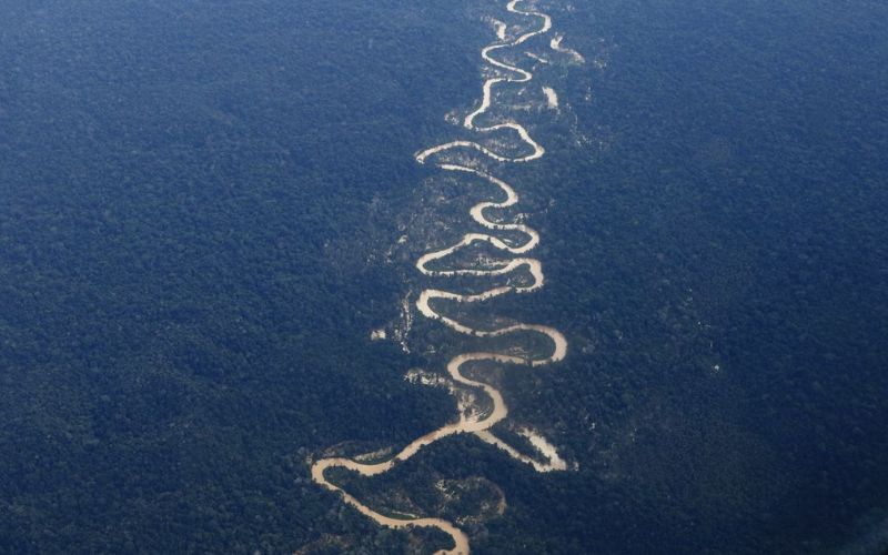 Amazônia, salvação do planeta