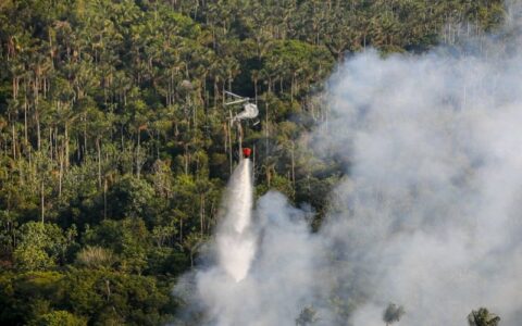 AM tem redução de 20,3% nos focos de calor em relação a 2022