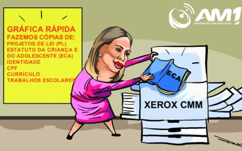 Vereadora faz CTRL+C CTRL+V e cria ECA municipal