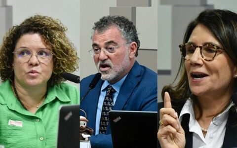 Plínio critica falta de coragem de presidentes de ONGs em divulgarem salários na CPI