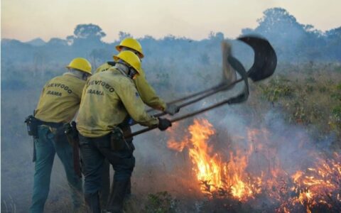 Greve no Ibama deve afetar ações ambientais na Amazônia