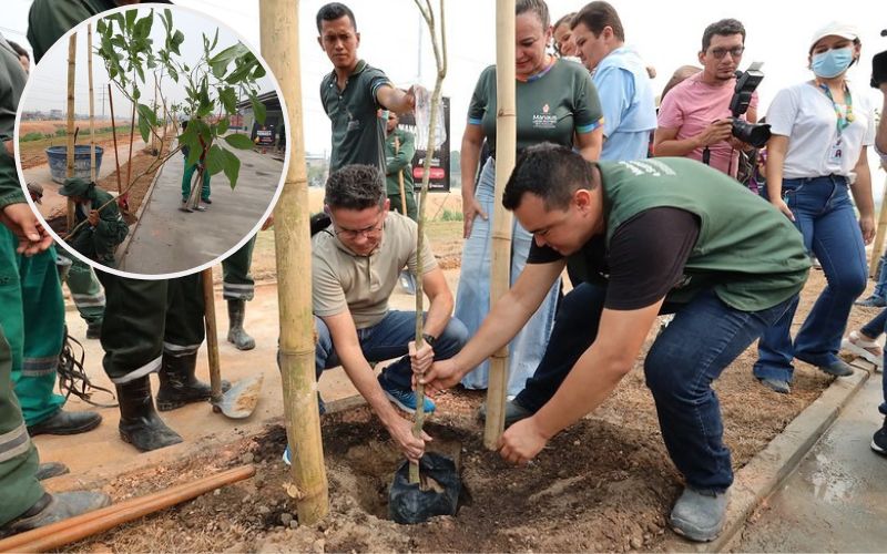 Prefeitura inicia arborização do Parque Amazonino Mendes
