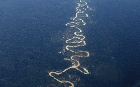 Amazônia