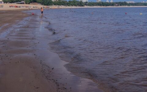 Rio Negro atinge 17,47 metros nesta terça feira