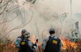 Casal é preso após incendiar área verde próximo à rodovia AM-010