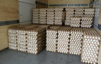 Mais de 88 mil ovos são apreendidos em situação irregular na AM-010