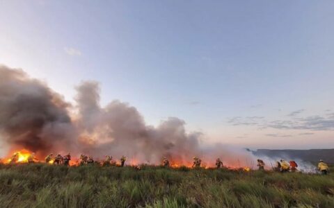 MPF pede que governo do AM detalhe ações de combate a incêndios