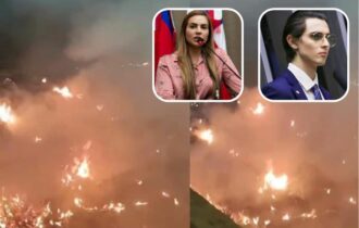 Políticos criticam incêndio em vegetação próxima do parque Jefferson Peres