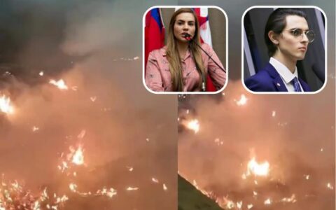 Políticos criticam incêndio em vegetação próxima do parque Jefferson Peres