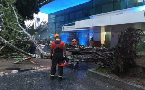 Chuva do fim de semana provoca queda de árvore e outras ocorrências em Manaus