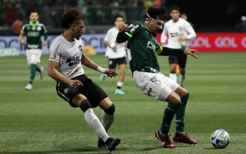 Botafogo e Palmeiras (Foto: Cesar Greco/Palmeiras)