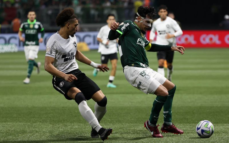 Tentando retomar caminho das vitórias, líder Botafogo recebe Palmeiras