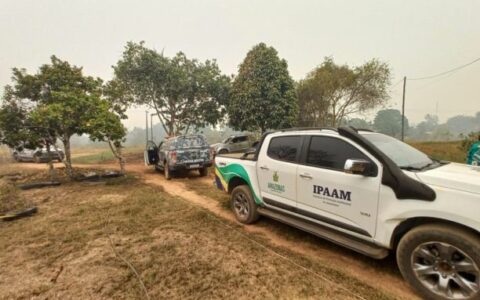 De março a outubro, já foram aplicados R$ 143 milhões em multas ambientais no AM