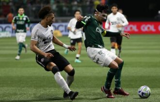 Botafogo e Palmeiras (Foto: Cesar Greco/Palmeiras)