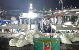 Mais de uma tonelada de pescado ilegal é apreendida na feira da Panair