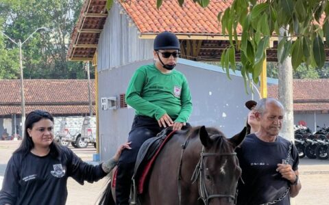 Equoterapia