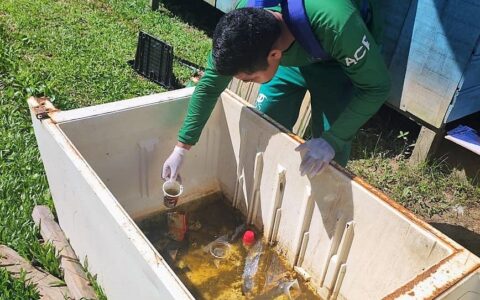 50 municípios do AM apresentam infestação do mosquito transmissor da dengue