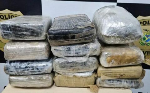 Maconha avaliada em R$ 200 mil é apreendida no porto São Raimundo