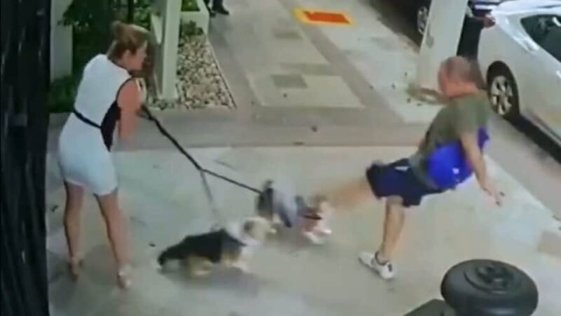 Imagem colorida mostra frame de vídeo de homem chutando cachorros
