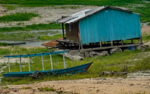 Em 2023, o Amazonas teve volume de chuvas abaixo do normal