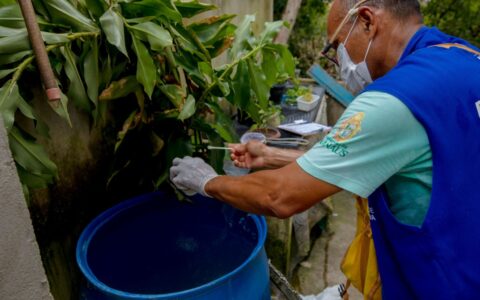 Manaus está em médio risco para doenças causadas pelo Aedes aegypti