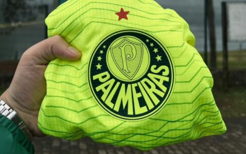 Palmeiras campeão e Santos rebaixado. Chega ao fim o 'Brasileirão' 2023