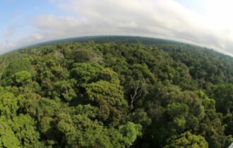 Preservação da Amazônia: demanda global, conta local