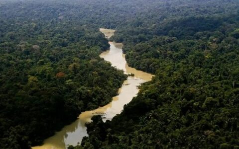 acoes-ambientais-foto-leonardo-milao-icmbio