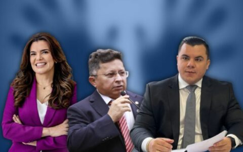 fotos-divulgacaoaleam-montagem-portal-am1