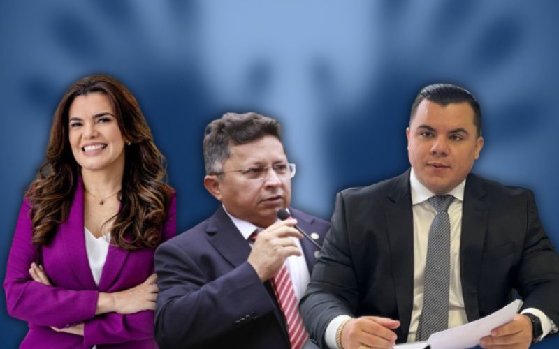 fotos-divulgacaoaleam-montagem-portal-am1