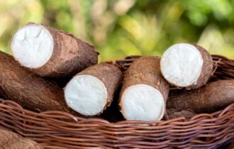 paa-indigena-foto-arquivo-sepror