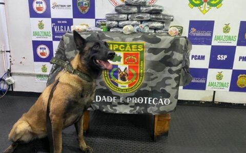 apreensao-base-arpao-foto-divulgacaossp-am