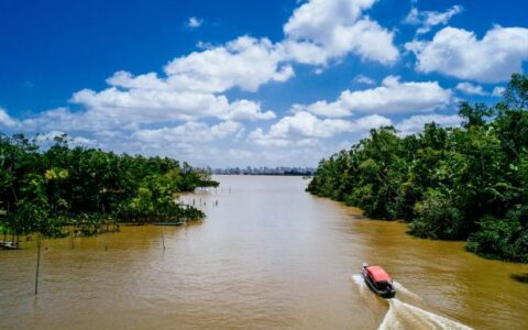 fundo-amazonia-foto-reproducaofreepik-2