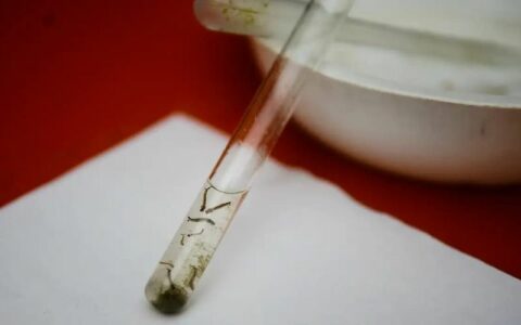 Duas mortes por dengue e oropouche são confirmadas em Manaus
