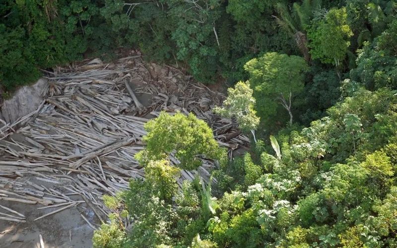 amazonia-desmatamento-foto-arquivoagencia-brasil