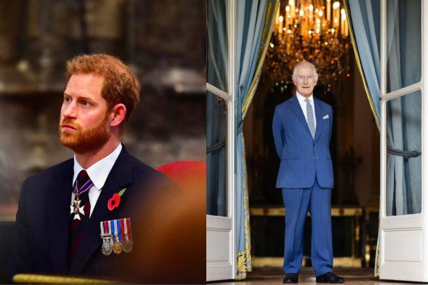 harry-viajara-para-londres-para-ver-o-pai-que-esta-com-cancer-fotos-reproducaosussexroyalsamir-hussein