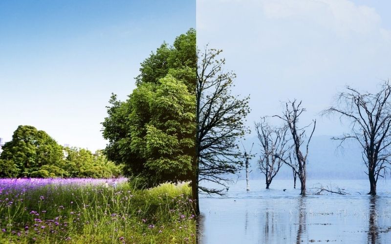 mudancas-no-clima-foto-montagem-freepik