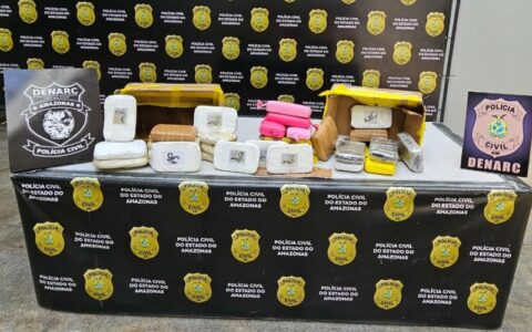 policia-civil-apreende-31-kg-de-drogas-e-gera-prejuizo-de-r-400-mil-ao-trafico-foto-divulgacaopc-am