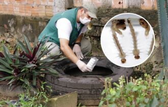 dengue-marcely-gomes-arquivo-semcom
