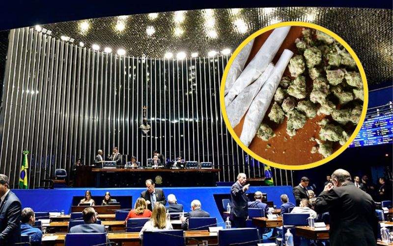 Descriminalização das drogas será debatida no Senado nesta terça