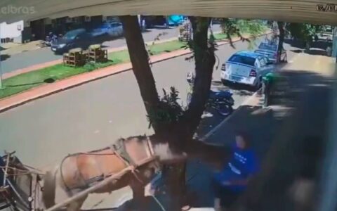 Vereador é mordido por burro enquanto caminha em calçada