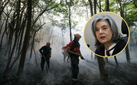 Cármen Lúcia: 'Brasil não pode ficar a cada governo tendo um soluço antidemocrático ambiental'