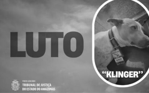 mascote-do-tjam-morre-apos-ser