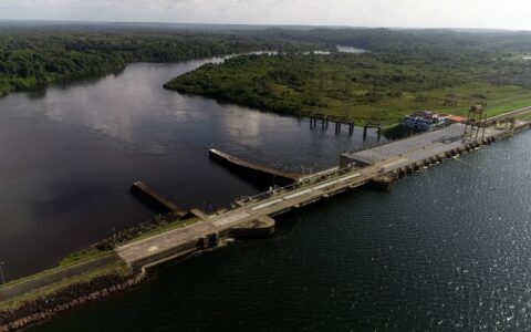 pesquisa-analisa-adaptacao-de-