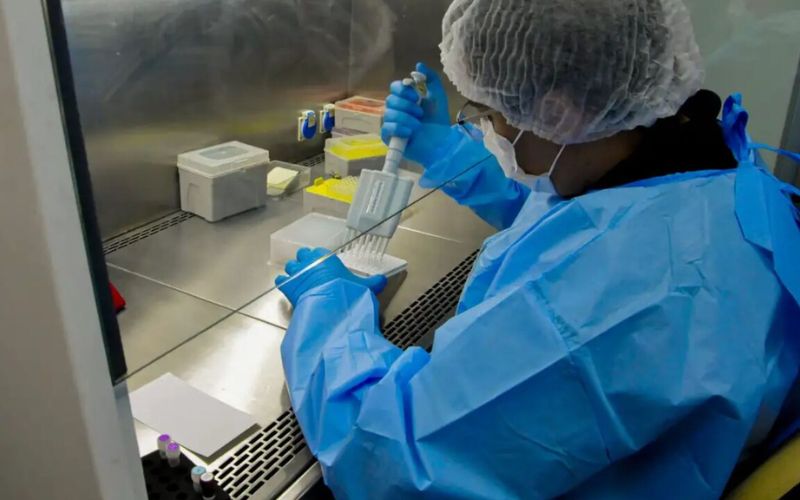 novo-teste-de-hpv-no-sus-pode-